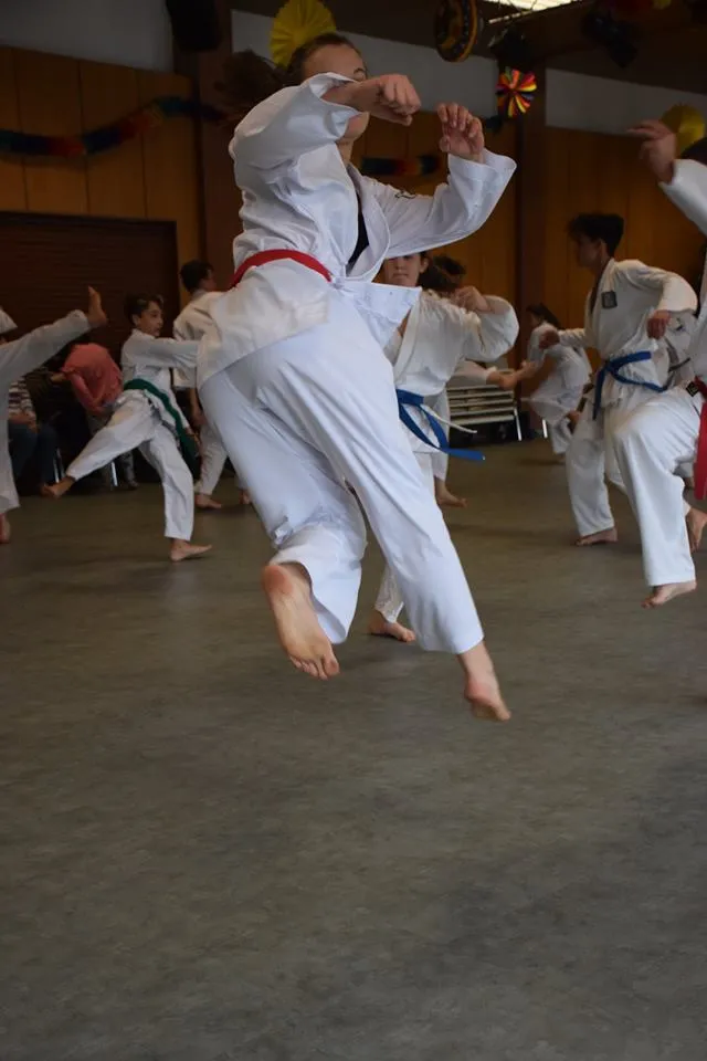 Frühjahrslehrgang in Salzburg-Itzling in der großen Taekwon-Do-Trainingshalle