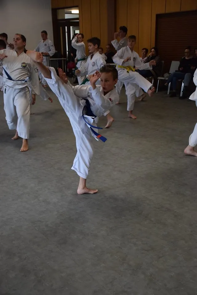 Frühjahrslehrgang in Salzburg-Itzling in der großen Taekwon-Do-Trainingshalle