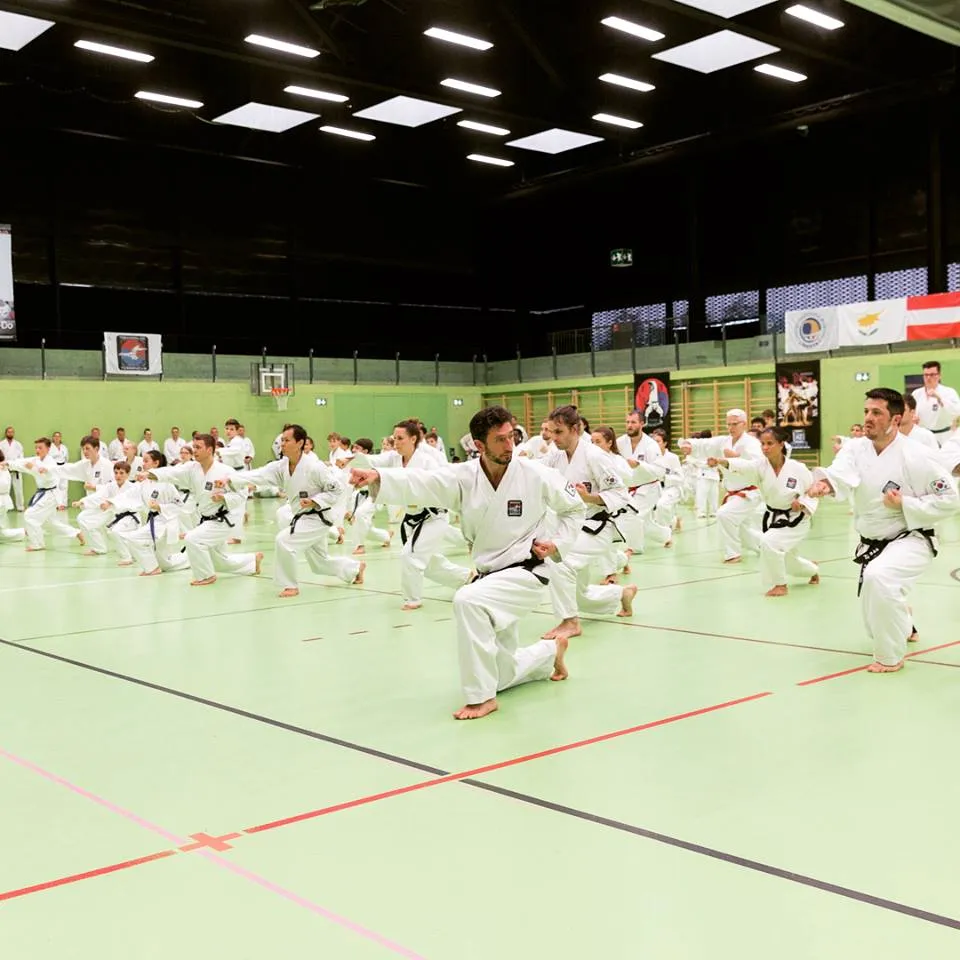 Taekwon-Do Schule Salzburg beim Turnier- und Gala-Wochenende in Zürich