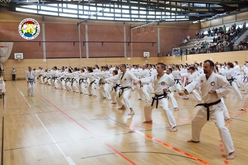Taekwondo-Sportler beim internationalen Städteturnier in Bad Reichenhall