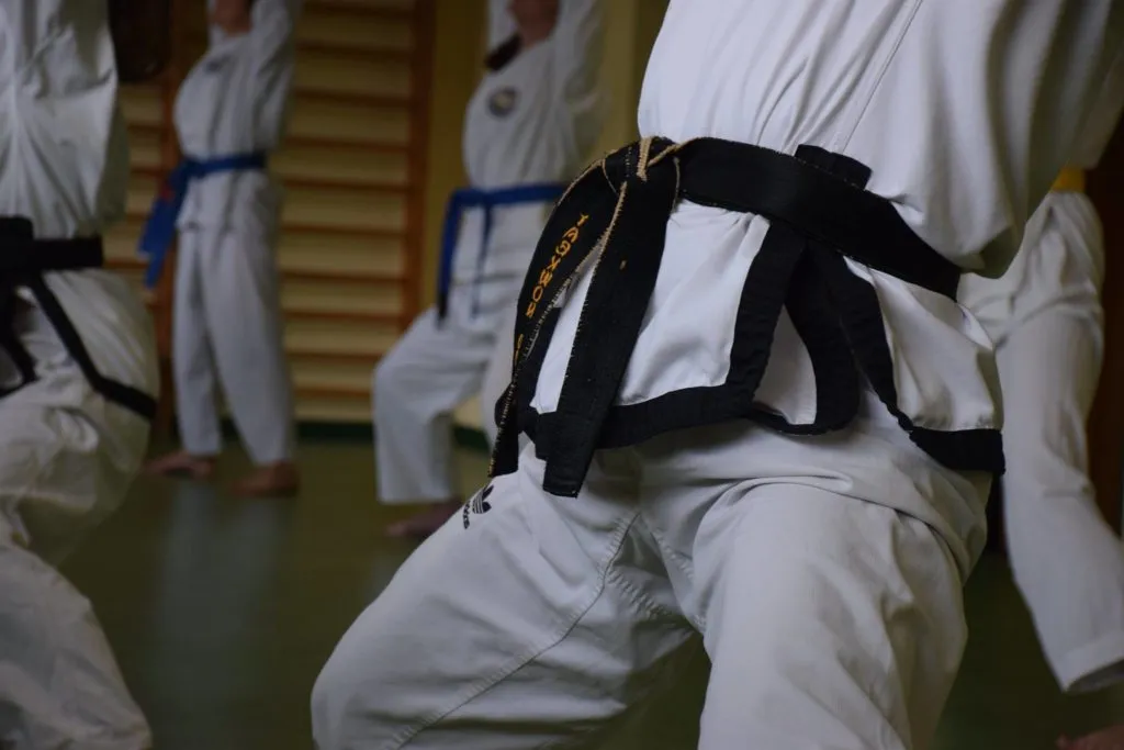 Frühjahrslehrgang in Salzburg-Itzling in der großen Taekwon-Do-Trainingshalle