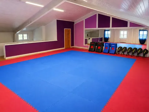 Tanzsaal Übersee mit Taekwon-Do-Matten, Schlagpolstern und Spiegelwand