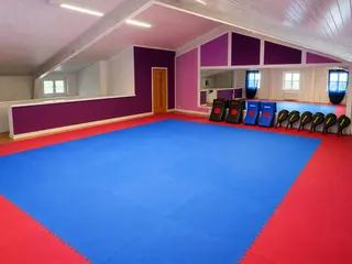 Tanzsaal Übersee mit Taekwon-Do-Matten, Schlagpolstern und Spiegelwand