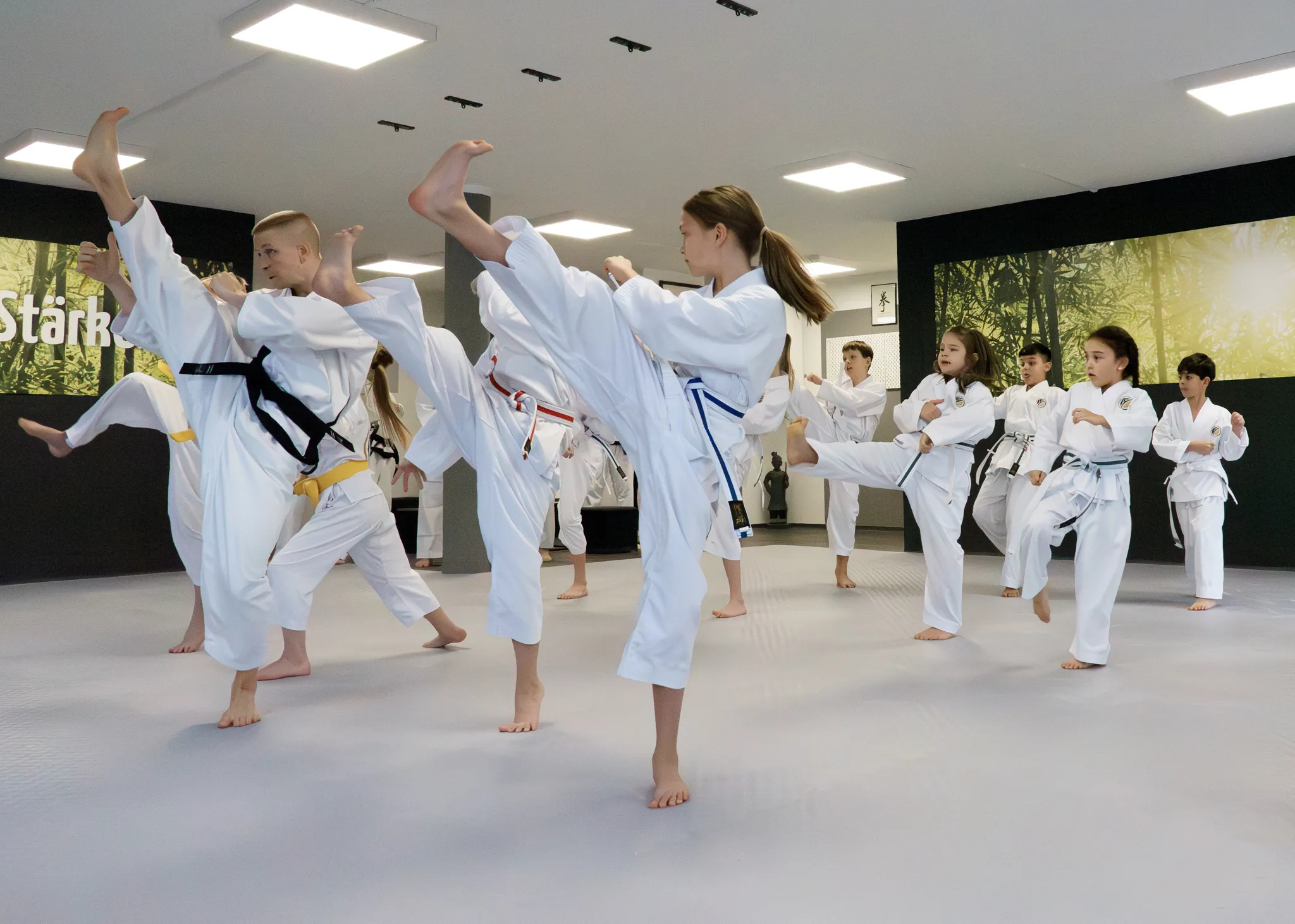 Tiger-Kids-Training in Freilassing – Kinder und Jugendliche beim Tritt in einer Reihe